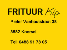 frituur kip